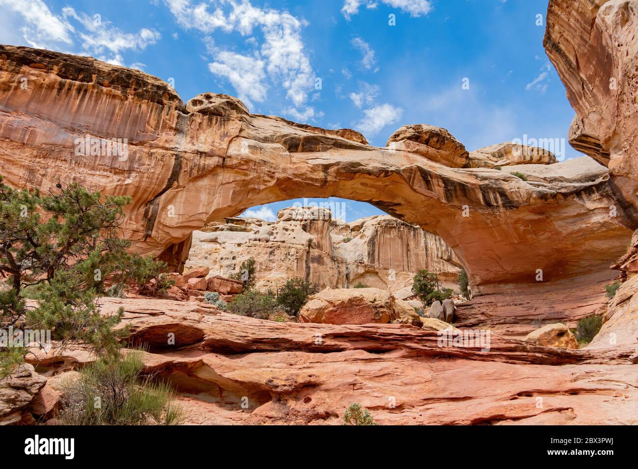 capitol reef hickman bridge