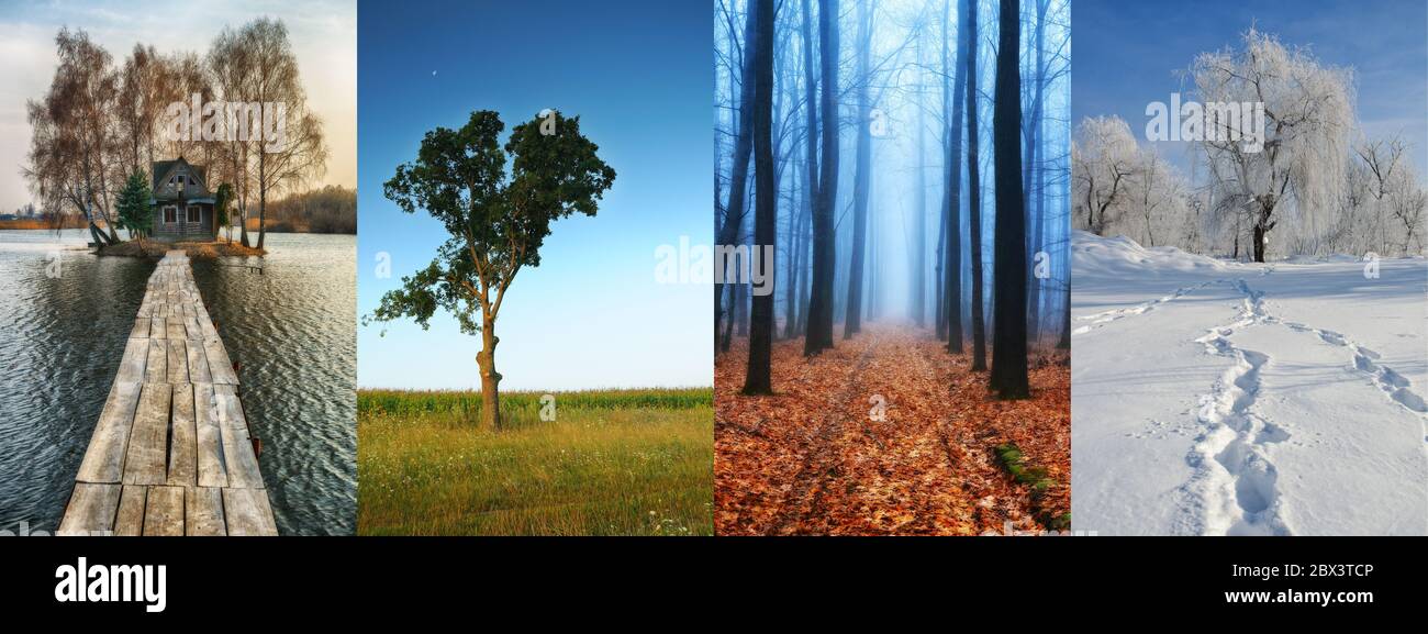 Four Seasons Collage - Spring, Summer, Autumn, Winter Stock Photo - Alamy