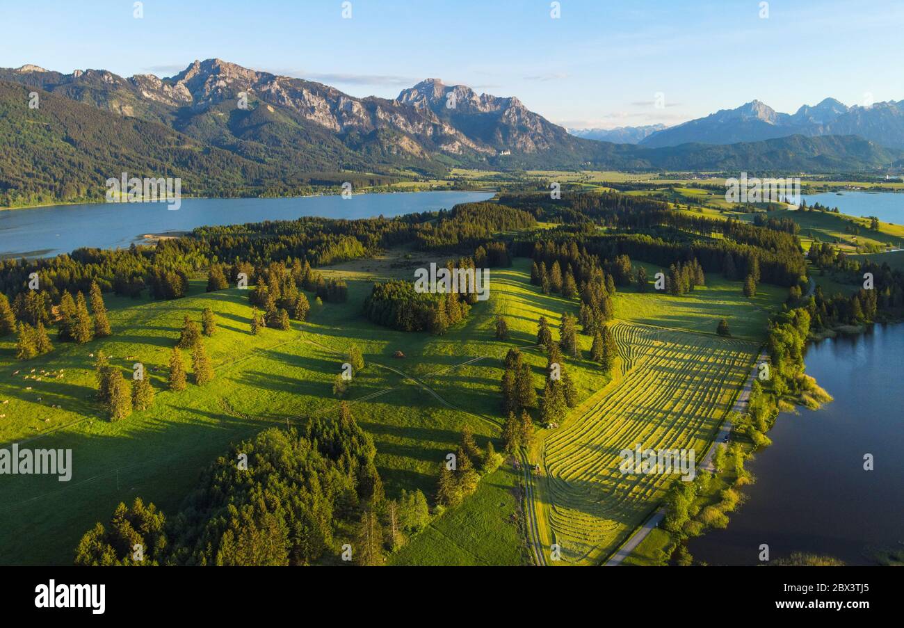 The typical landscape of Bavaria - the German Alps at Allgau Stock ...