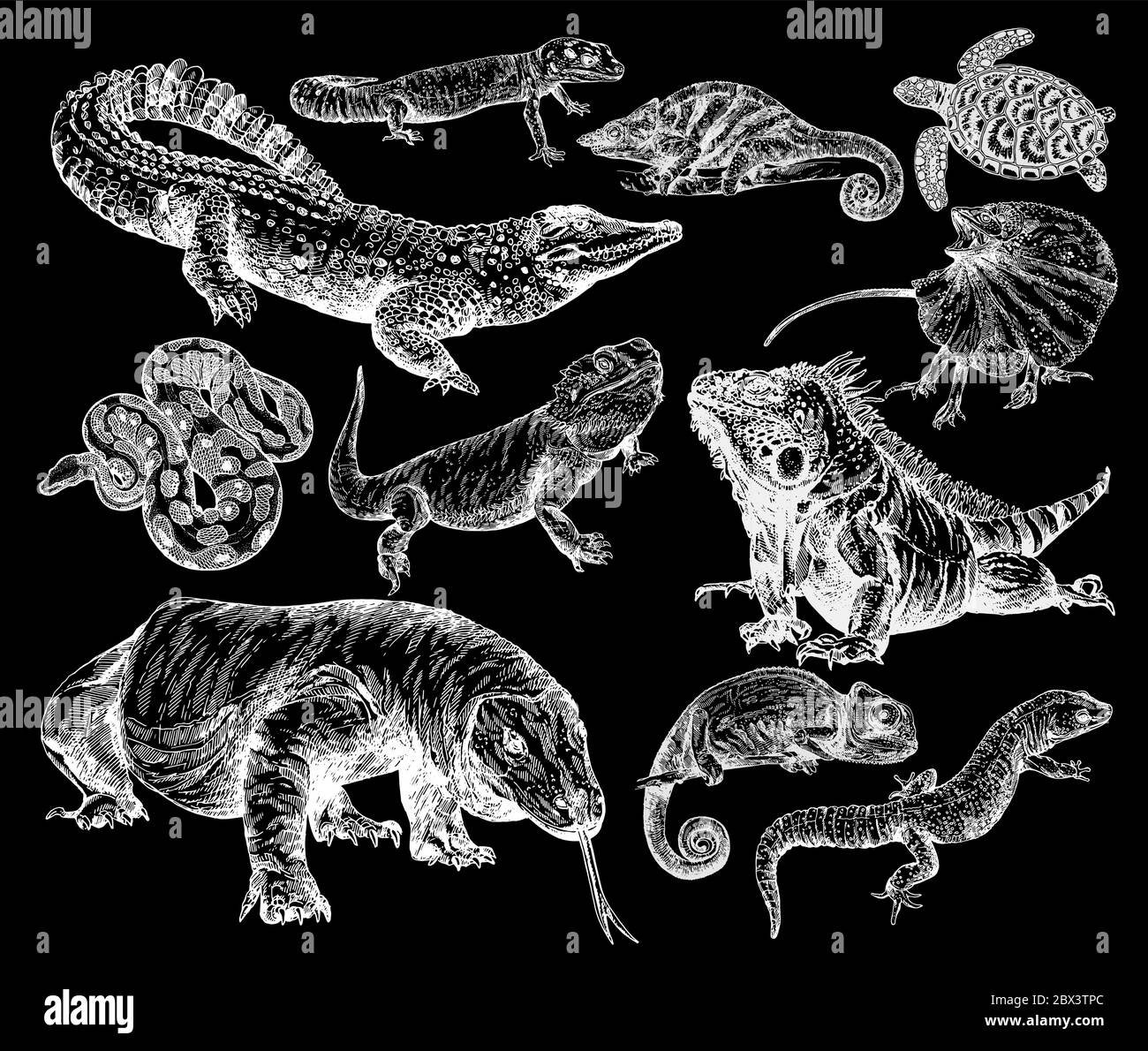 Big set of hand drawn sketch style reptiles isolated on black background. Vector illustration. Stock Vector