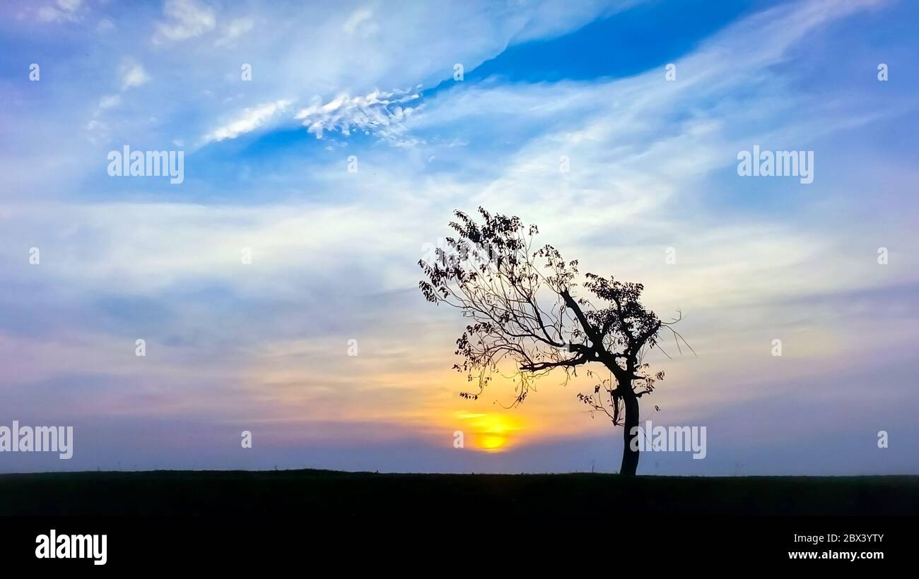 Beautiful sky with cloud before sunset and tree silhouette Stock Photo