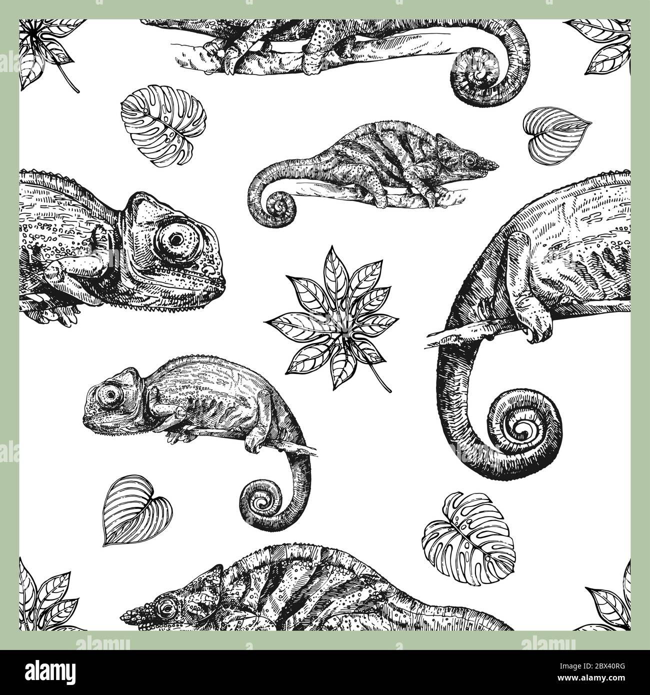 Seamless pattern of hand drawn sketch style chameleons and plants isolated on white background. Vector illustration. Stock Vector