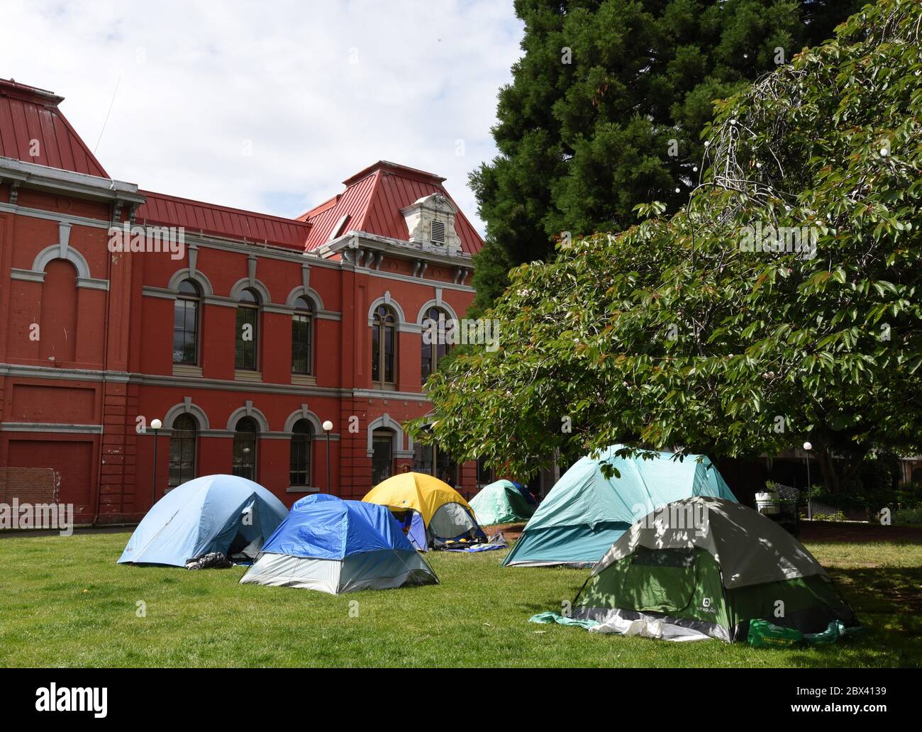 A view of a tent city set up by homeless street people on a lawn next to city hall in downtown Victoria, British Coumbia, Canada on Vancouver Island. Stock Photo