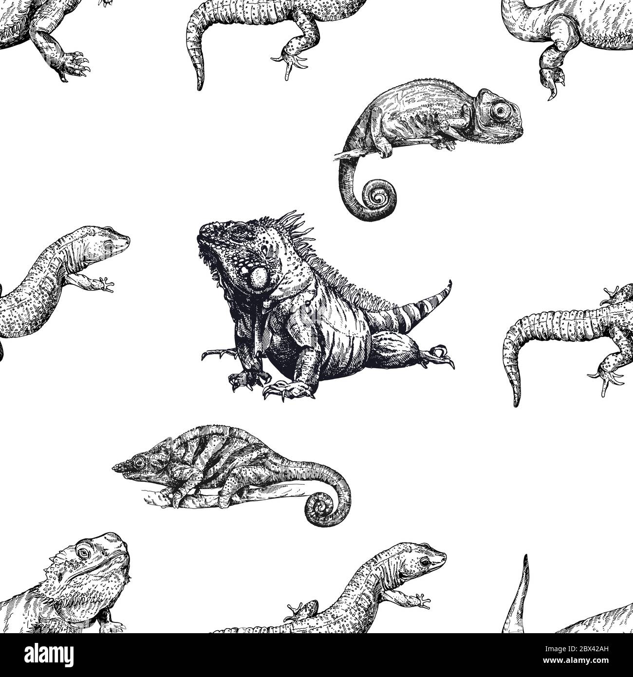 Seamless pattern of hand drawn sketch style reptiles isolated on white background. Vector illustration. Stock Vector