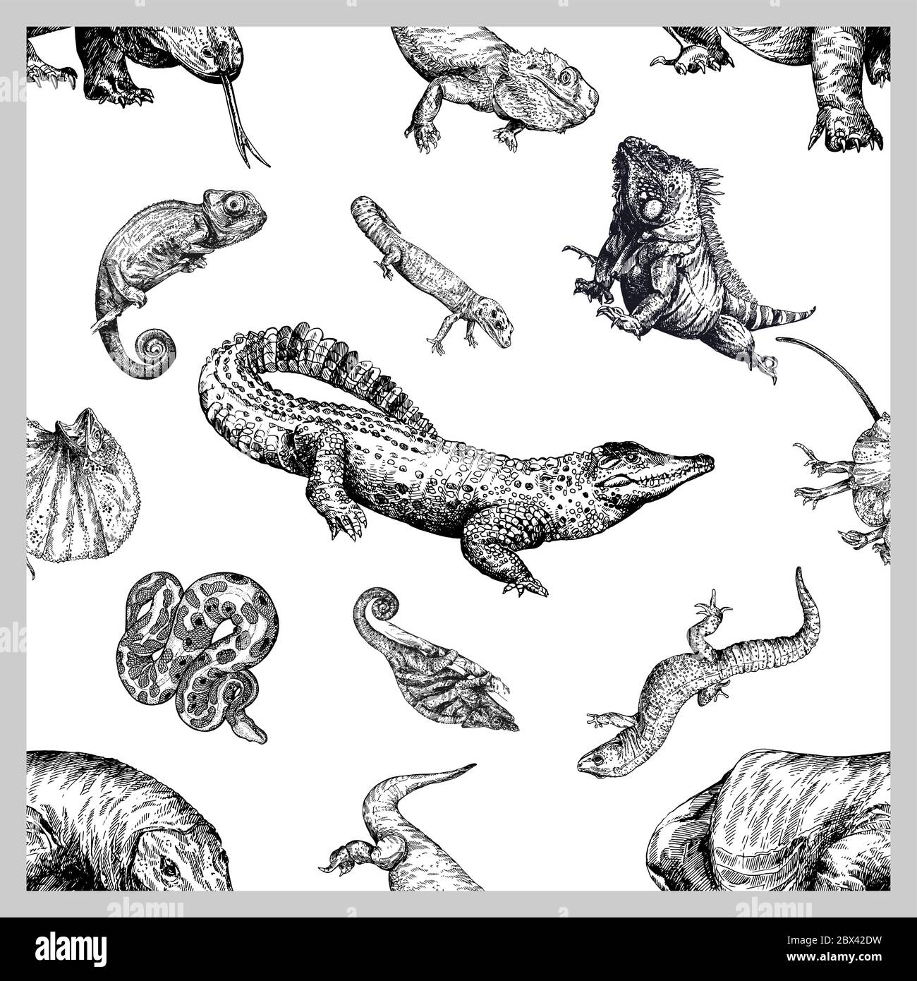 Seamless pattern of hand drawn sketch style reptiles isolated on white background. Vector illustration. Stock Vector