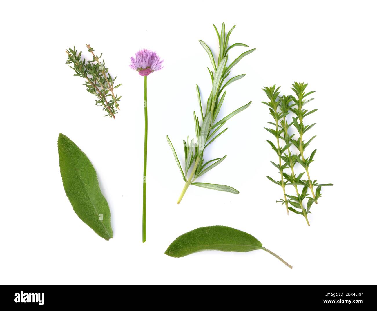 various fresh aromatic herbs on white background Stock Photo