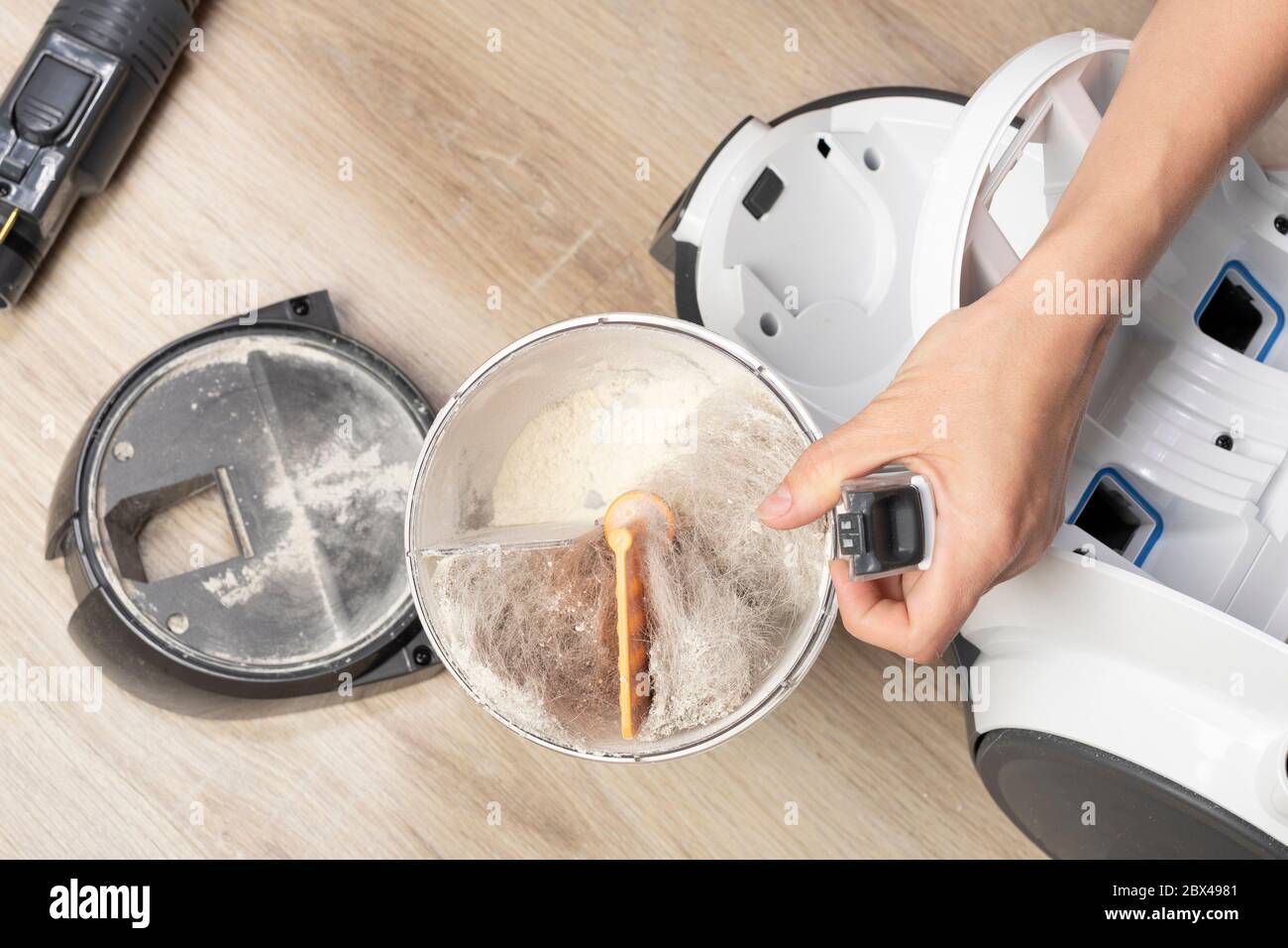 Vacuum cleaner and garbage container full of fur, dust and dirt. Household chores or cleaning