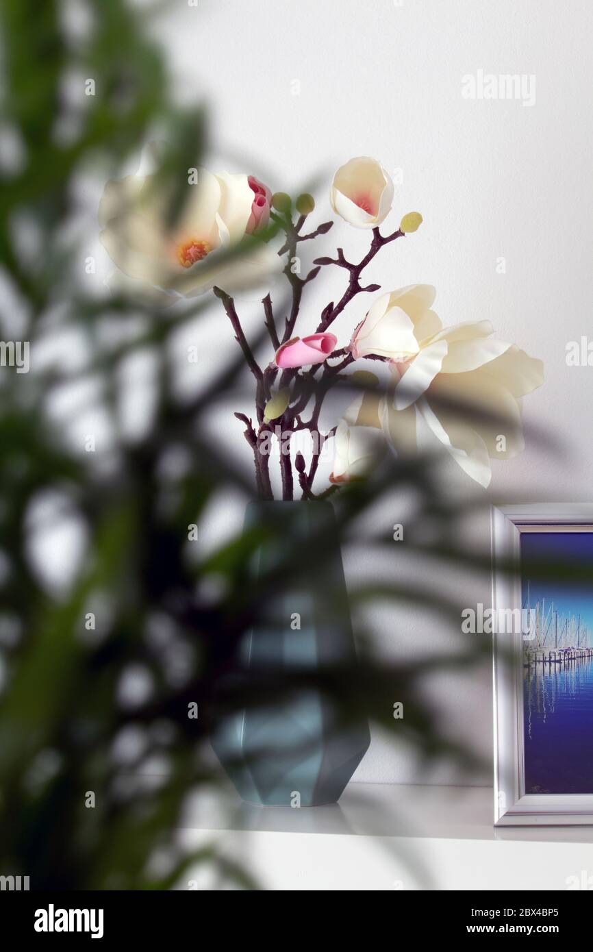 Magnolia in a decorative vase against a white background, in the