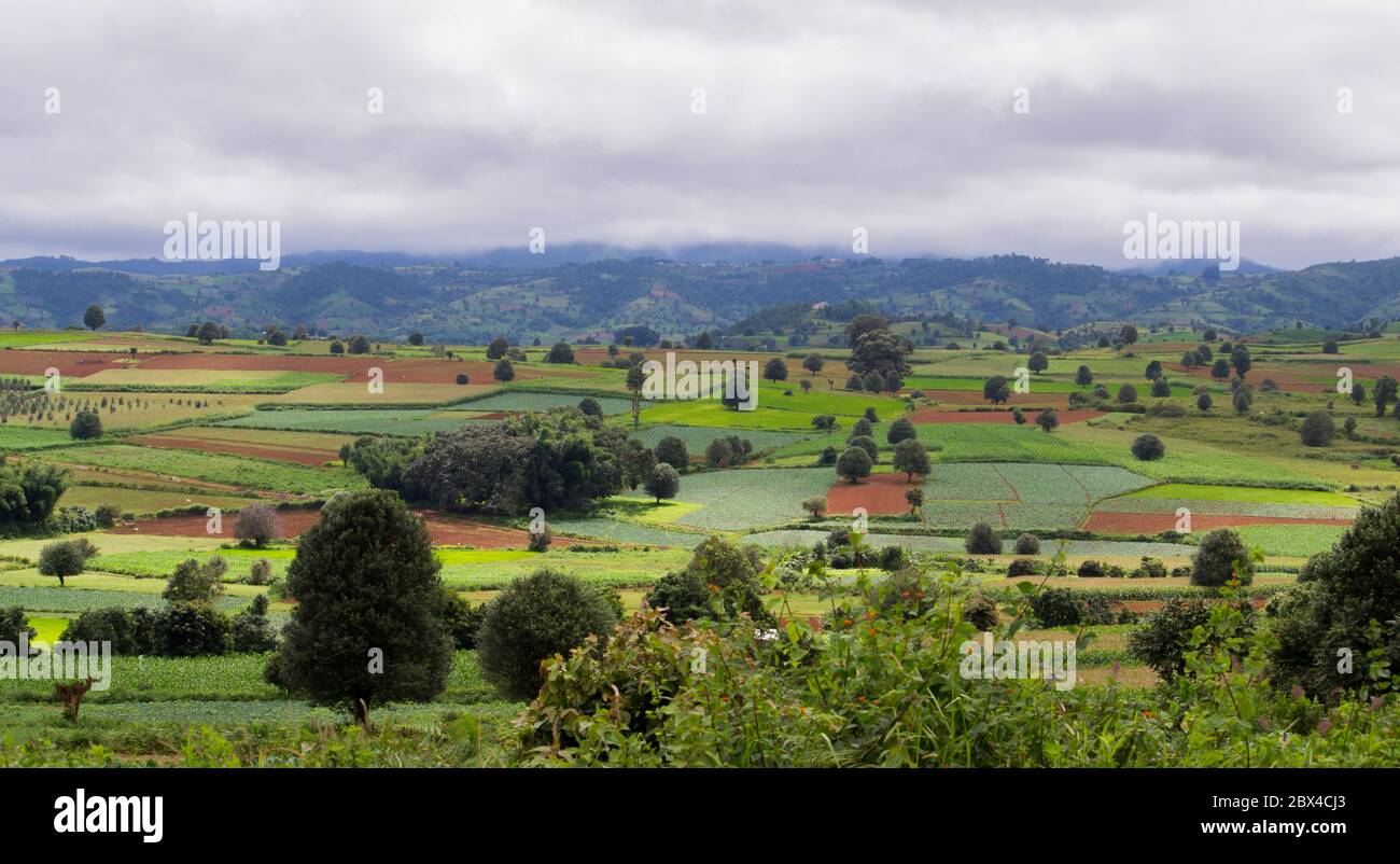 Myanmar, people working on fields between kalaw and inle lake Stock Photo
