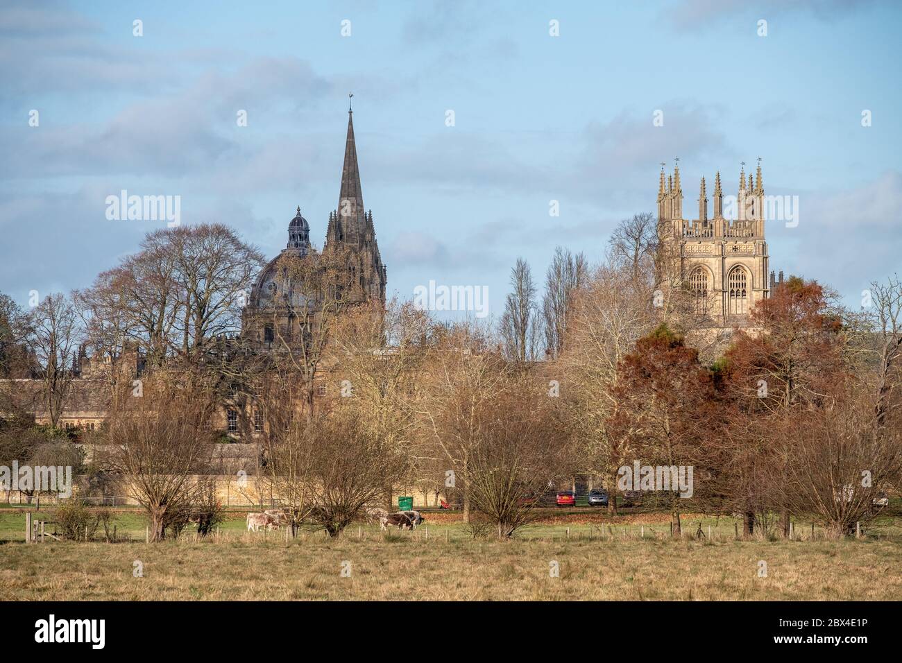 Radcliffe Camera, Merton College Chapeland University Church from Christchurch Meadow Stock Photo