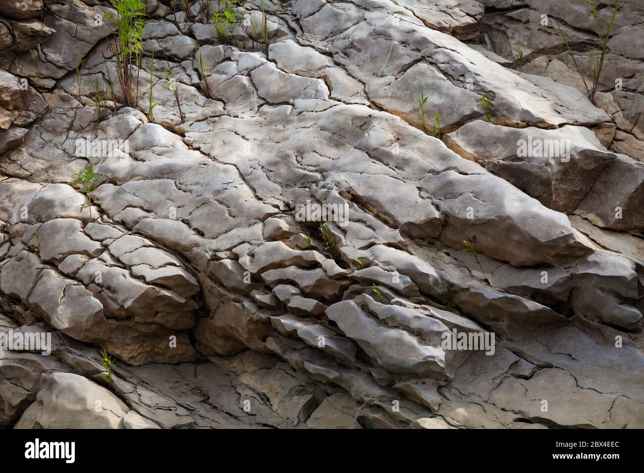 Rock formations beside Lago Alajuela/ Rio Pequeni, Republic of Panama. Stock Photo