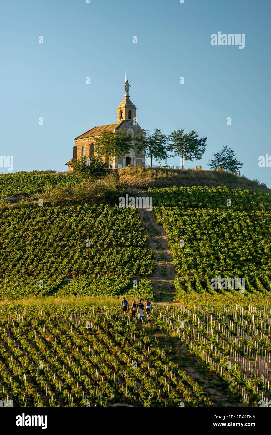 The chapel La Madone at Fleurie village, Beaujolais vineyard, department Rhone, region Auvergne-Rhône-Alpes, France, Europe Stock Photo