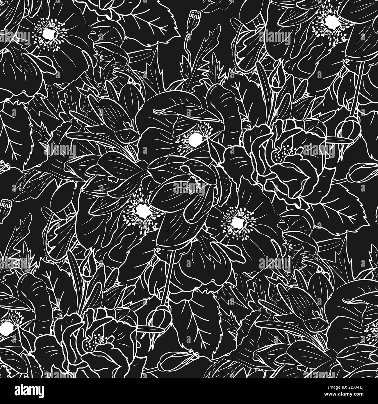 Monochrome floral seamless pattern with hand drawn rose, poppy and crocus  flowers. Stock vector illustration Stock Vector Image \u0026 Art - Alamy, image size:1300x1390