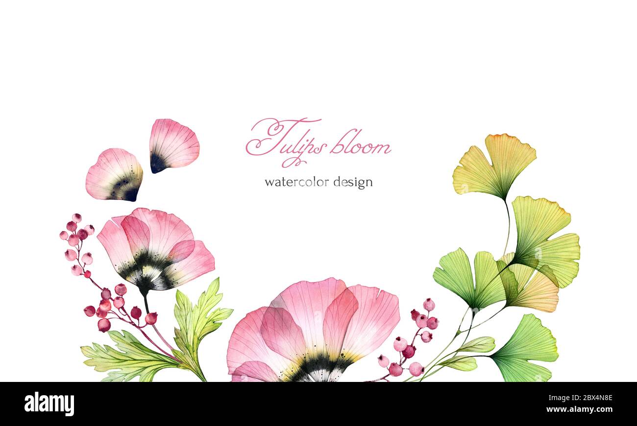 Watercolor floral background. Horizontal card template with place for text. Wreath of transparent tulip flowers and gingko leaves. Isolated hand drawn Stock Photo