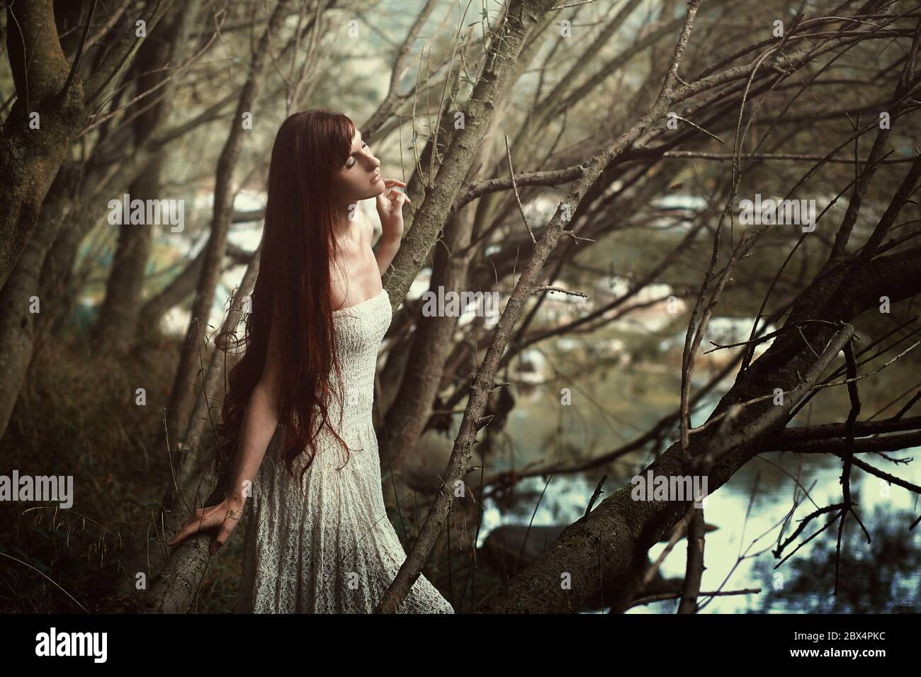 Beautiful woman with vintage dress.  Fine art portrait in the woods Stock Photo