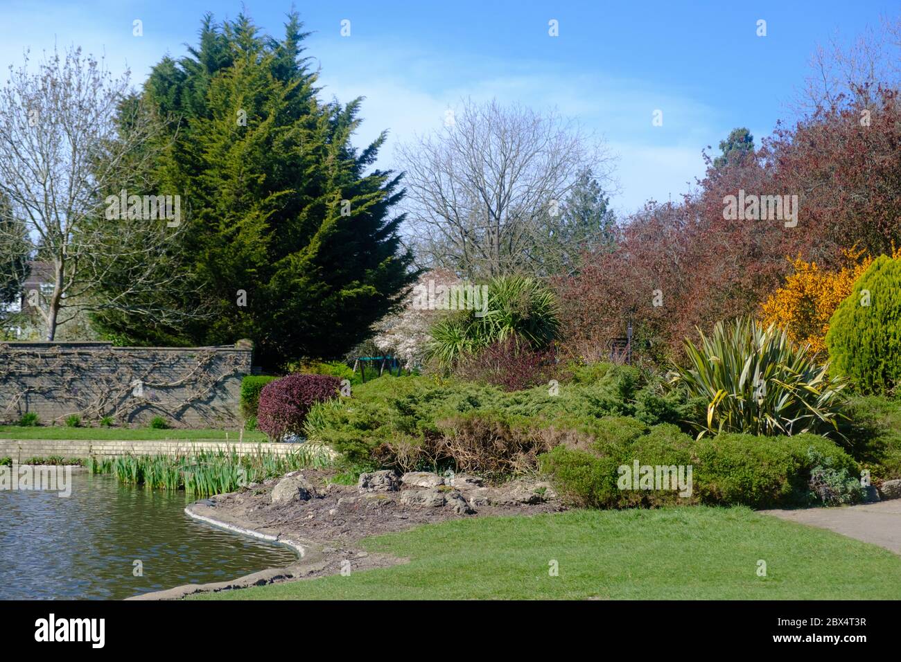 Ornamental lake, vine covered wall, trees & landscaped foliage at