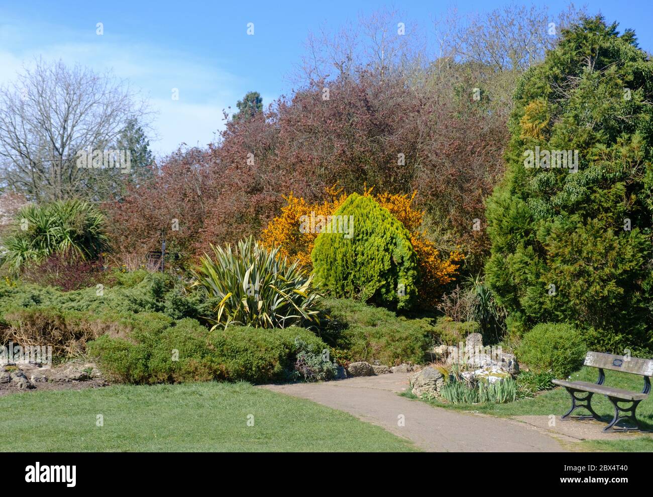 Landscaped foliage with rockeries, assorted tall trees & park bench at Pinner Memorial Park, North West London, England, UK Stock Photo