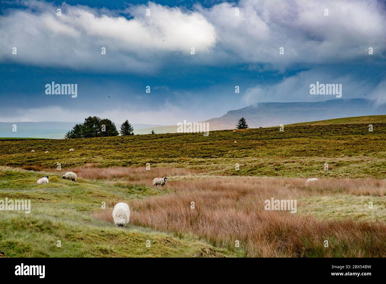 Kirkby Stephen, Cumbria, UK. 4th June, 2020. Showery weather causing a horizontal rainbow on the fells near Kirkby Stephen, Cumbria. Credit: John Eveson/Alamy Live News Stock Photo