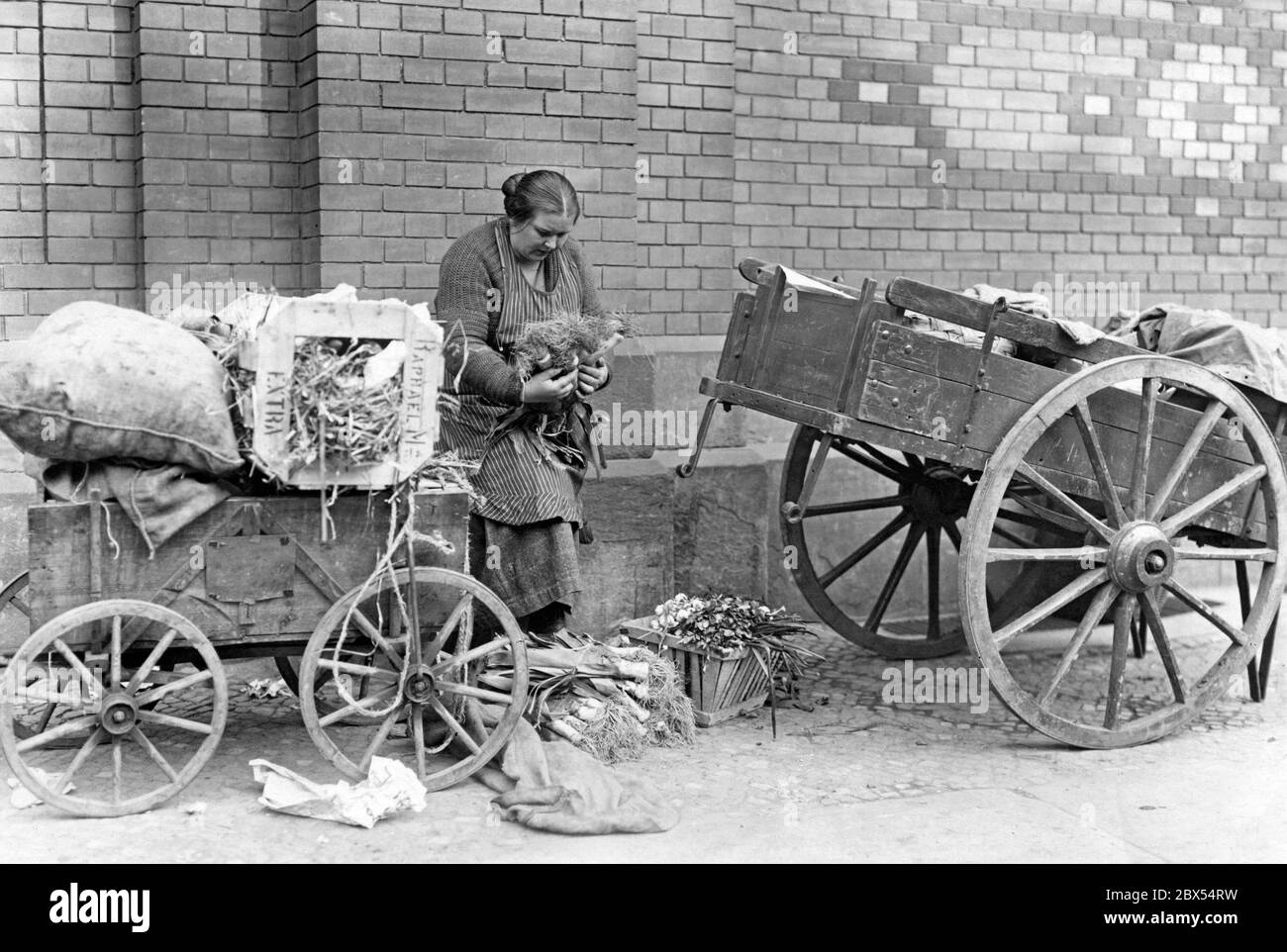 A woman transports home the collected waste and other food (such as leeks) from the Berlin Trade and Industry Wholesale Market Hall. Many are dependent on it because they have large families and little money. Stock Photo