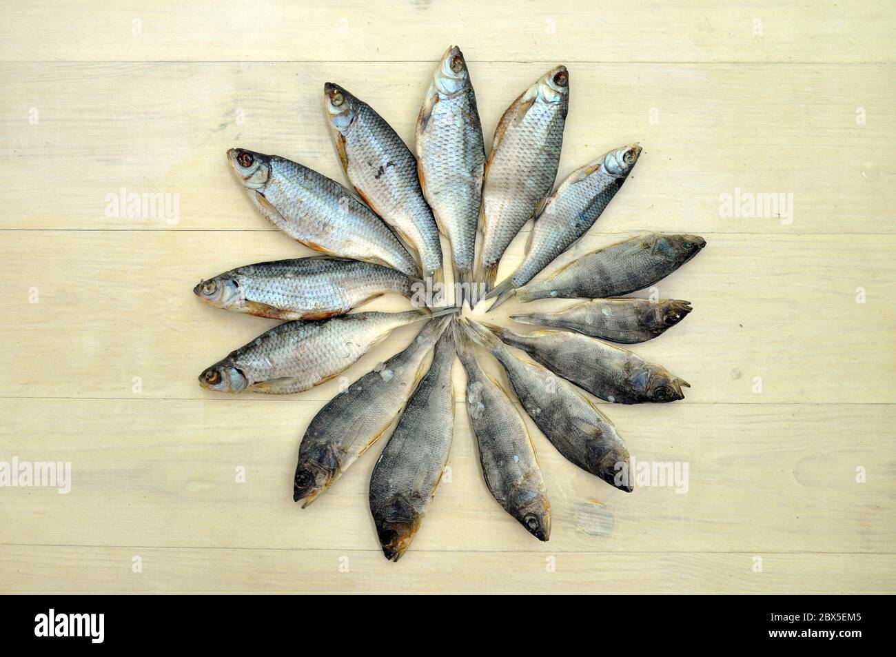 Lined dried fish pattern on a wooden surface. Dried fish product ...