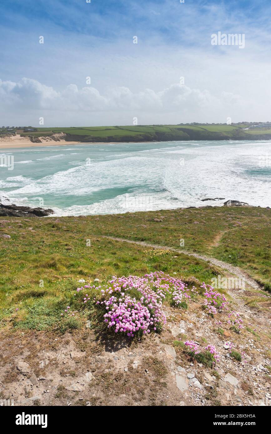 A landscape view of Crantock Beach from Pentire Point East in Newquay in Cornwall. Stock Photo