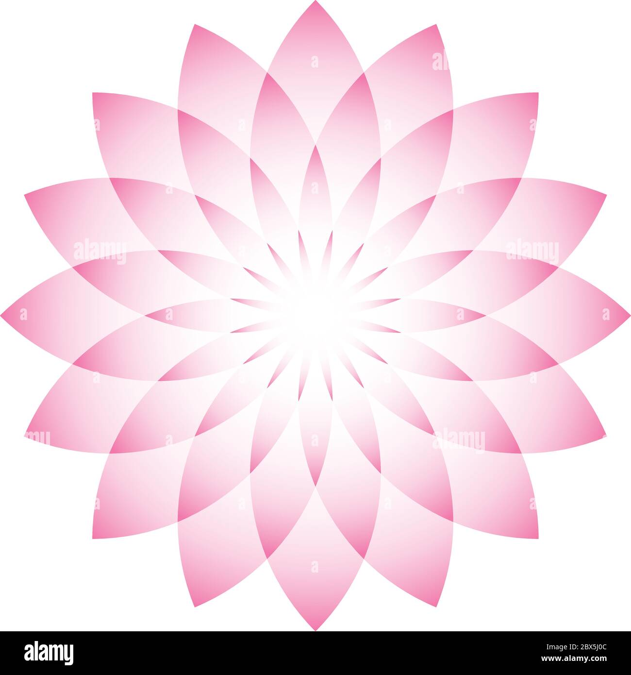 Pink lotus - symbol of yoga, wellness, beauty and spa. Vector