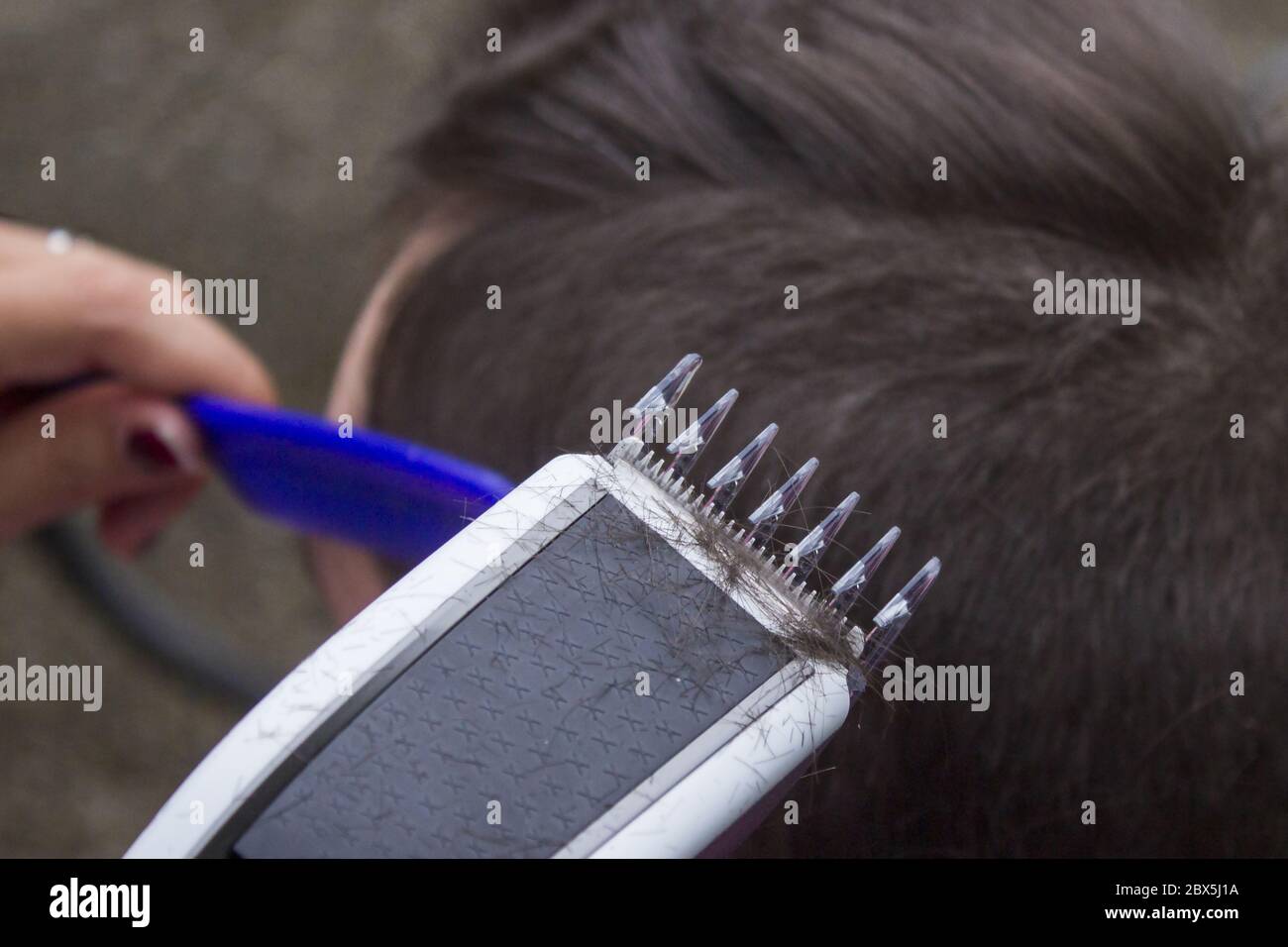 Detail of a haircut by a hairdresser. The hairdresser holds in hand a ...