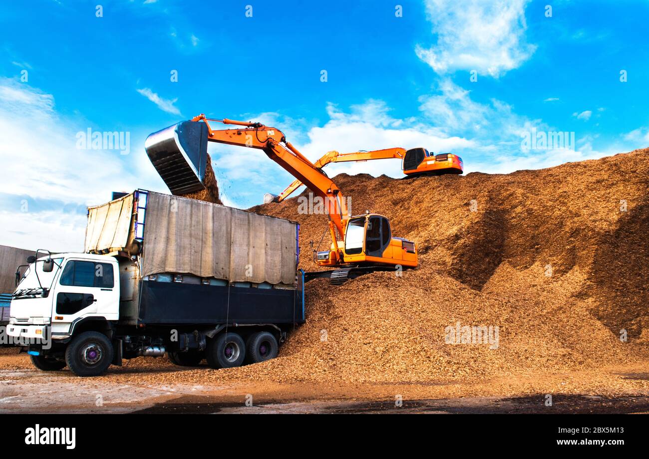 Backhoe standing on big pile of wood chips loading up into truck. Woodchips raw material storing and transportation. Stock Photo