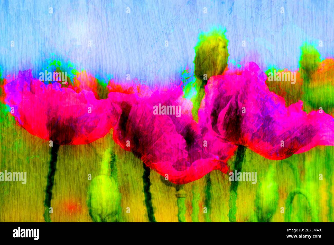 Concept abstract : painted poppies Stock Photo