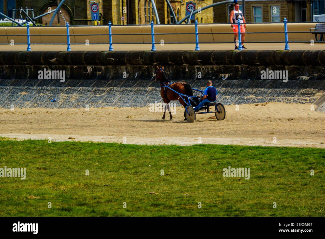 horse pulling trap being driven by a man on Morecambe Sands Stock Photo