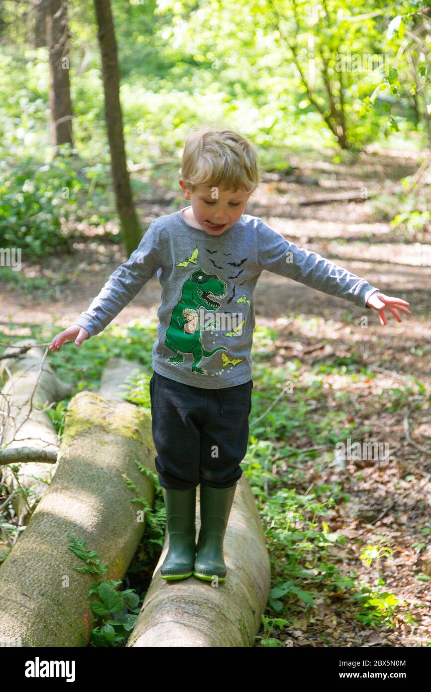 Three year old boy playing in Chawton park woods,  Medstead, Alton, Hampshire, England, United Kingdom. Stock Photo