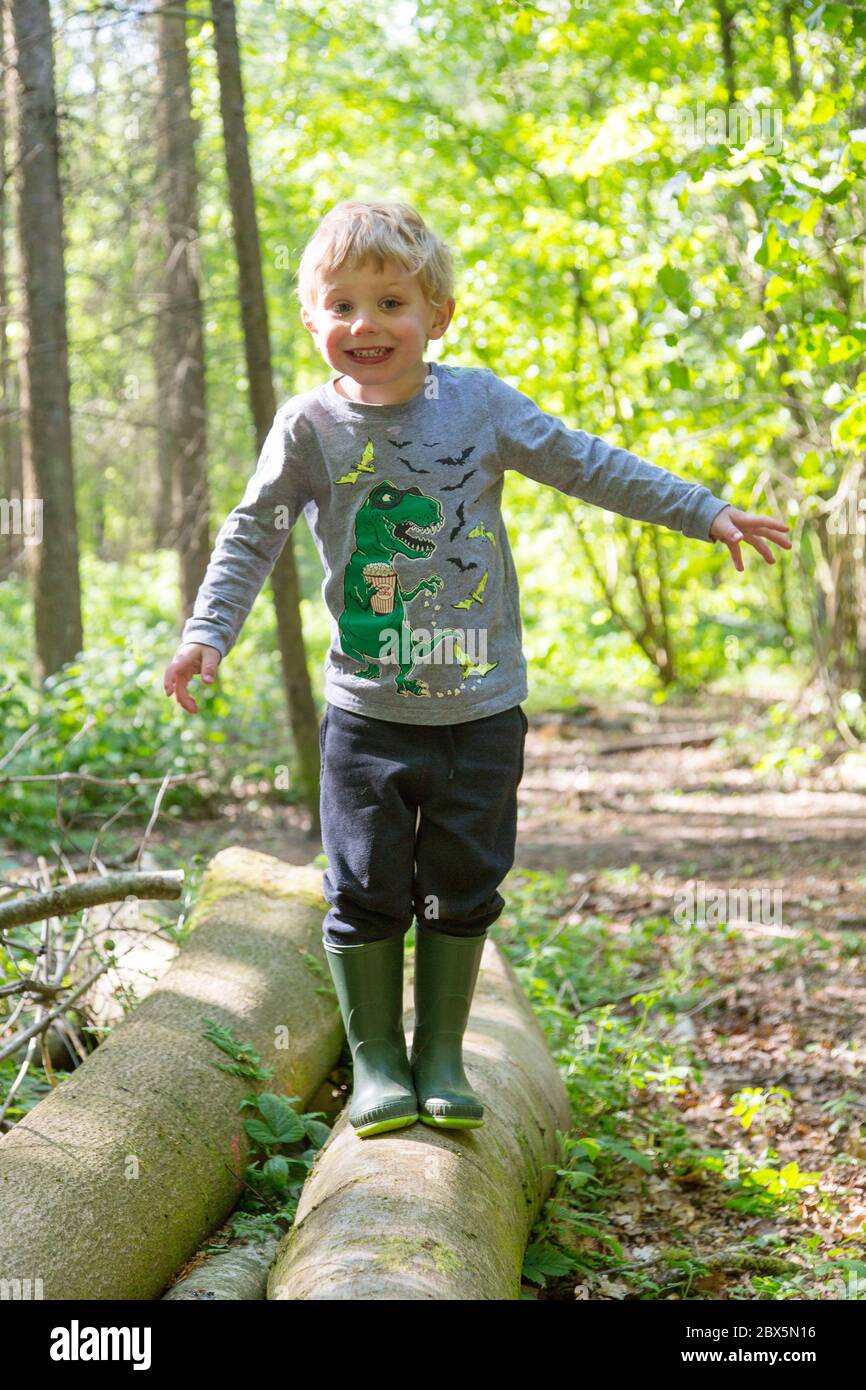 Three year old boy playing in Chawton park woods,  Medstead, Alton, Hampshire, England, United Kingdom. Stock Photo