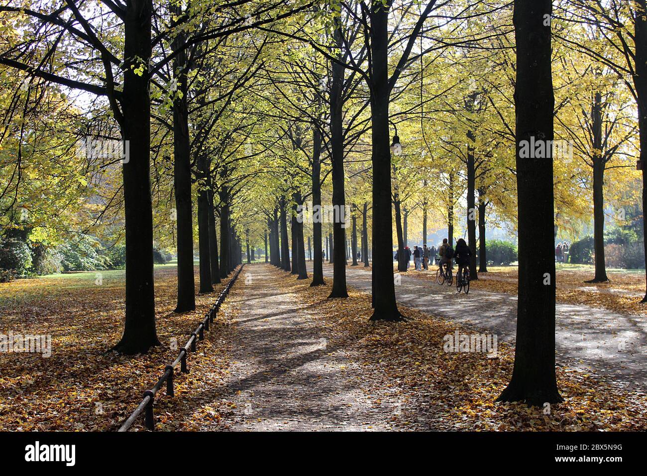 Promenade Muenster on a sunny autumn day with golden leaves and cyclists drivinb by. Stock Photo