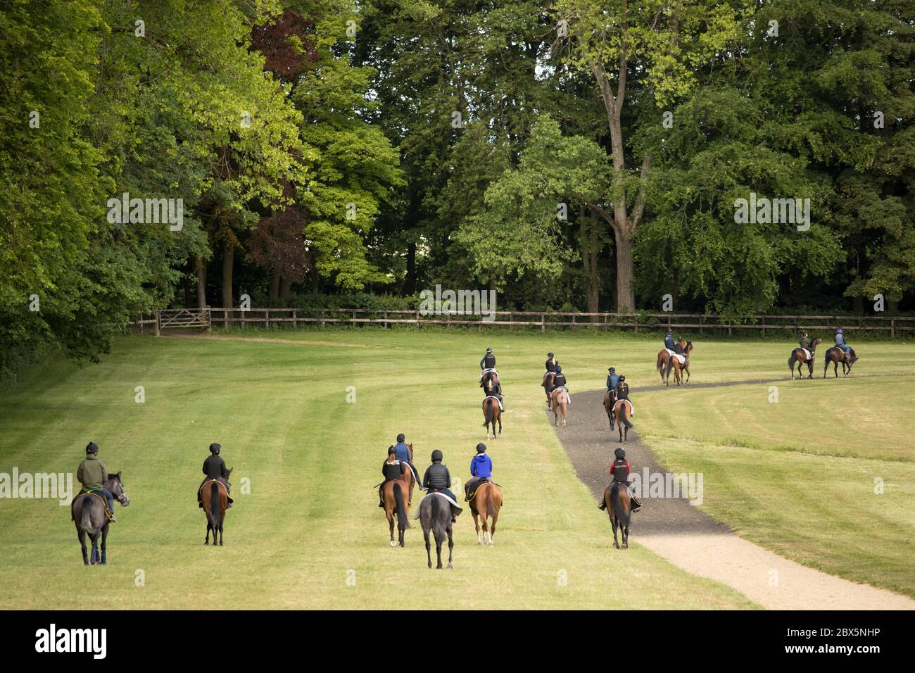 Kingsclere, Hampshire. 5th June, 2020. Riders and their horses return to the stables after training on the gallops, at the Kingsclere Park House Stables, which are run by horse racing trainer Andrew Balding, in Hampshire, Britain on June 5, 2020. Horse racing behind closed doors has resumed gradually in Britain after the government eased some lockdown restrictions. Racing is taking place behind closed doors with strict measures taken to prevent the spread of coronavirus. Credit: Tim Ireland/Xinhua/Alamy Live News Stock Photo