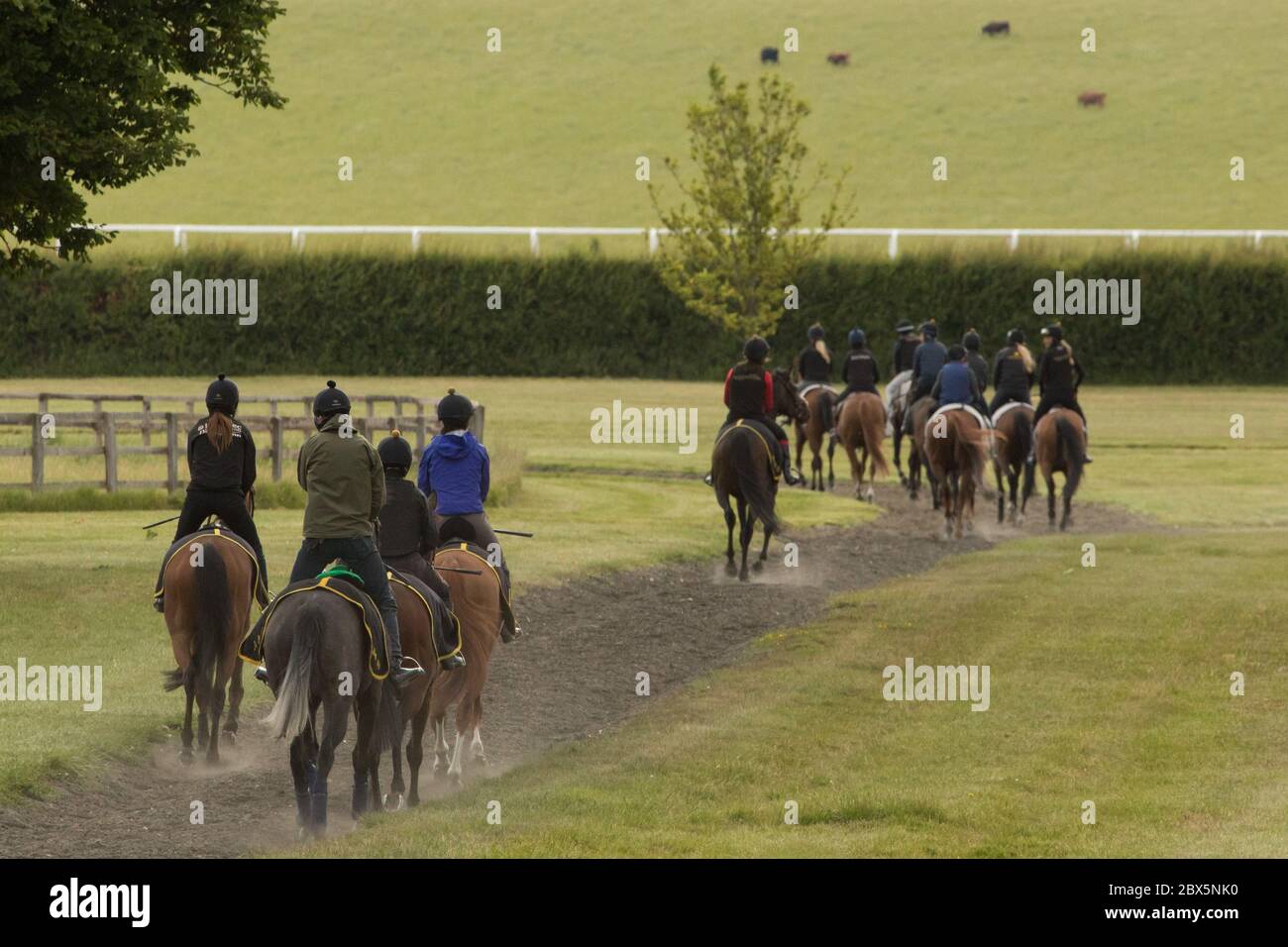 Kingsclere, Hampshire. 5th June, 2020. Riders and their horses head out to the gallops, at the Kingsclere Park House Stables, which are run by horse racing trainer Andrew Balding, in Hampshire, Britain on June 5, 2020. Horse racing behind closed doors has resumed gradually in Britain after the government eased some lockdown restrictions. Racing is taking place behind closed doors with strict measures taken to prevent the spread of coronavirus. Credit: Tim Ireland/Xinhua/Alamy Live News Stock Photo