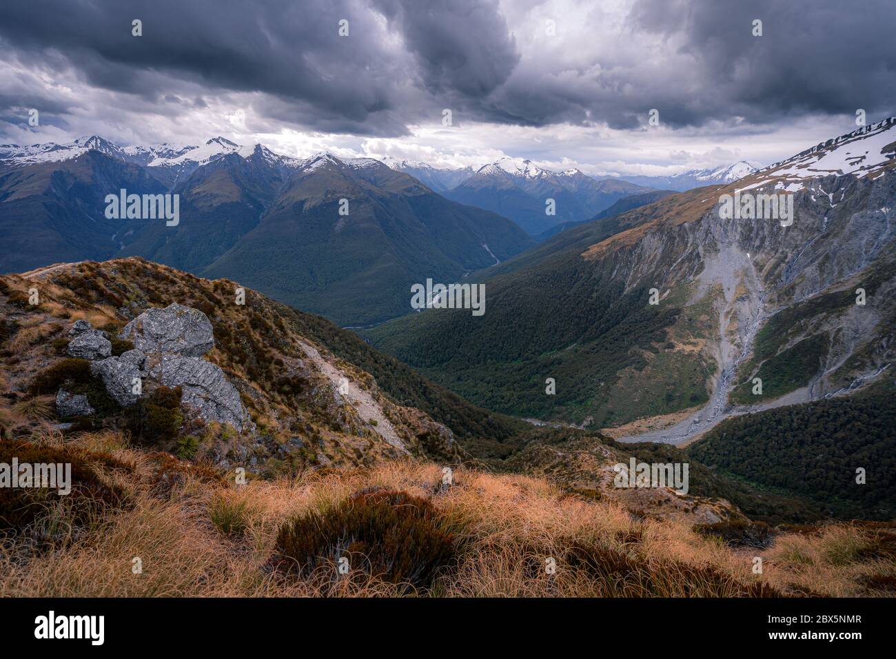 Mount Aspiring National Park, New Zealand Stock Photo