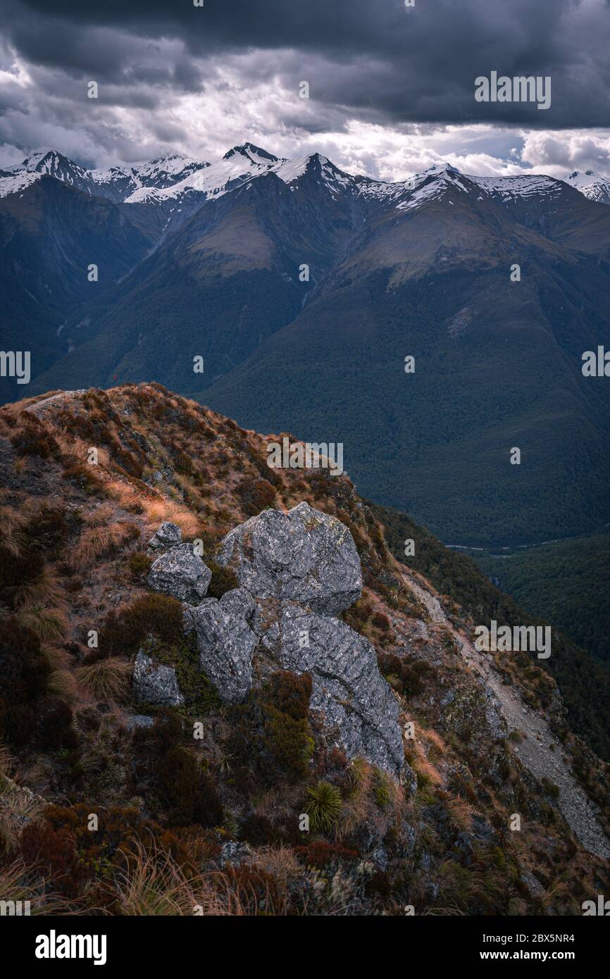 Mount Aspiring National Park, New Zealand Stock Photo