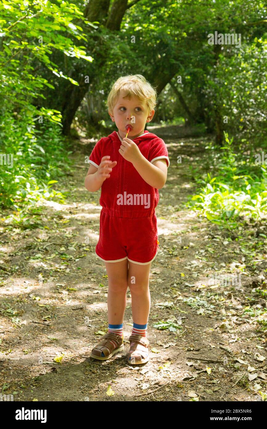 Three year old boy in a red play suit eating a lollypop, Hampshire, England, United Kingdom. Stock Photo