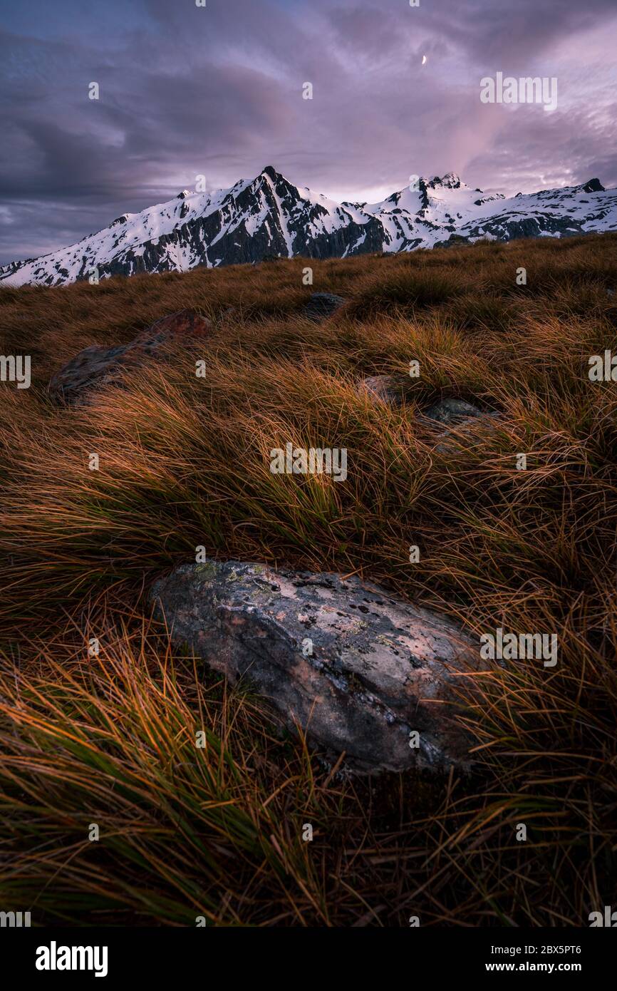 Mount Aspiring National Park, New Zealand Stock Photo