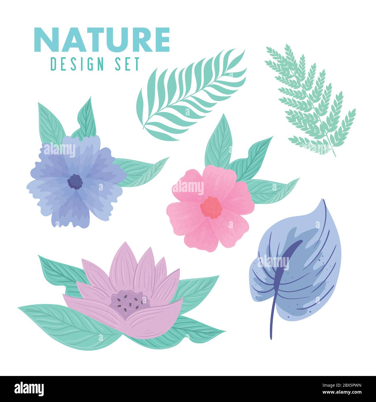 design set nature, flowers color pastel with leaves Stock Vector Image ...