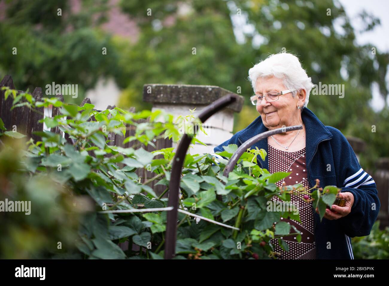 Senior woman gardening at her huge garden, take care of her plants ...