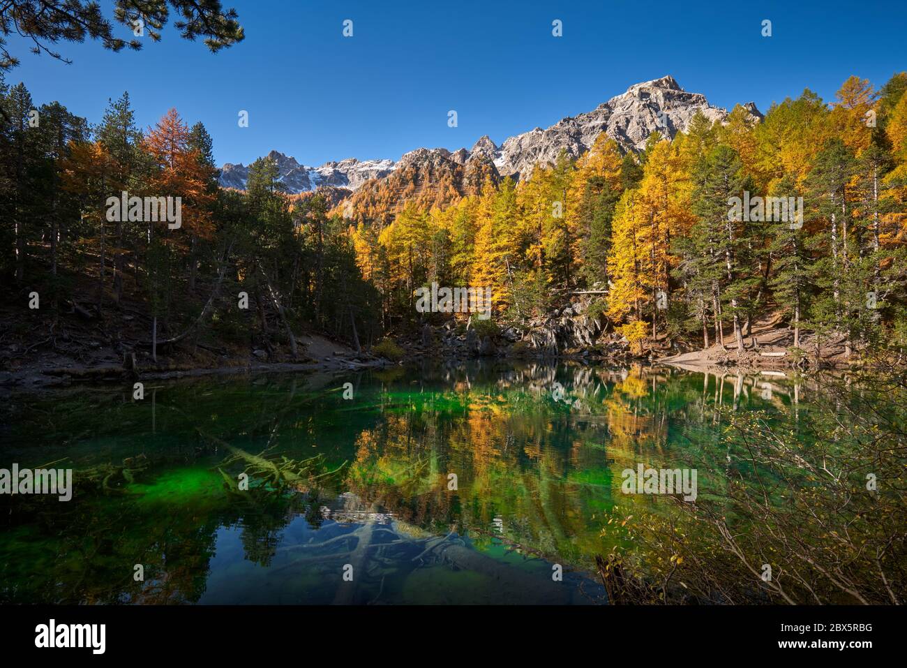 Green Lake (Lac Vert) in the Narrow Valley (Vallee Etroite) in Autumn. The intense green color is due to the presence of algaes. European Alps Stock Photo