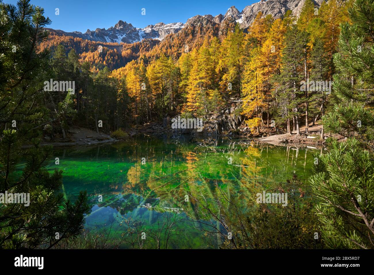 Green Lake (Lac Vert) in the Narrow Valley (Vallee Etroite) in Autumn. The intense green color is due to the presence of algaes. European Alps Stock Photo