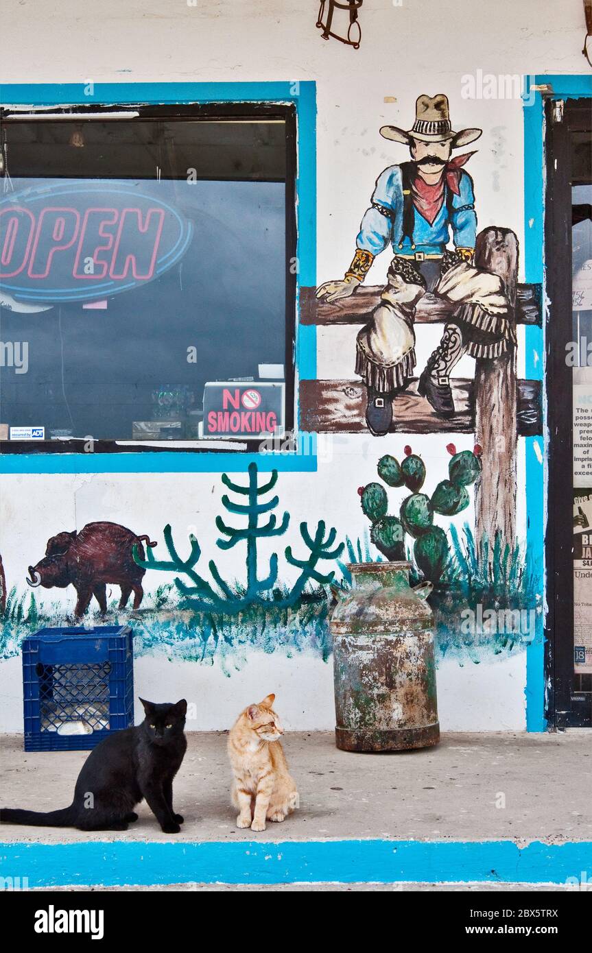 Cats at western art wall paintings at storefront of roadside store and cafe Contreras on highway US-59 near Laredo, Texas, USA Stock Photo
