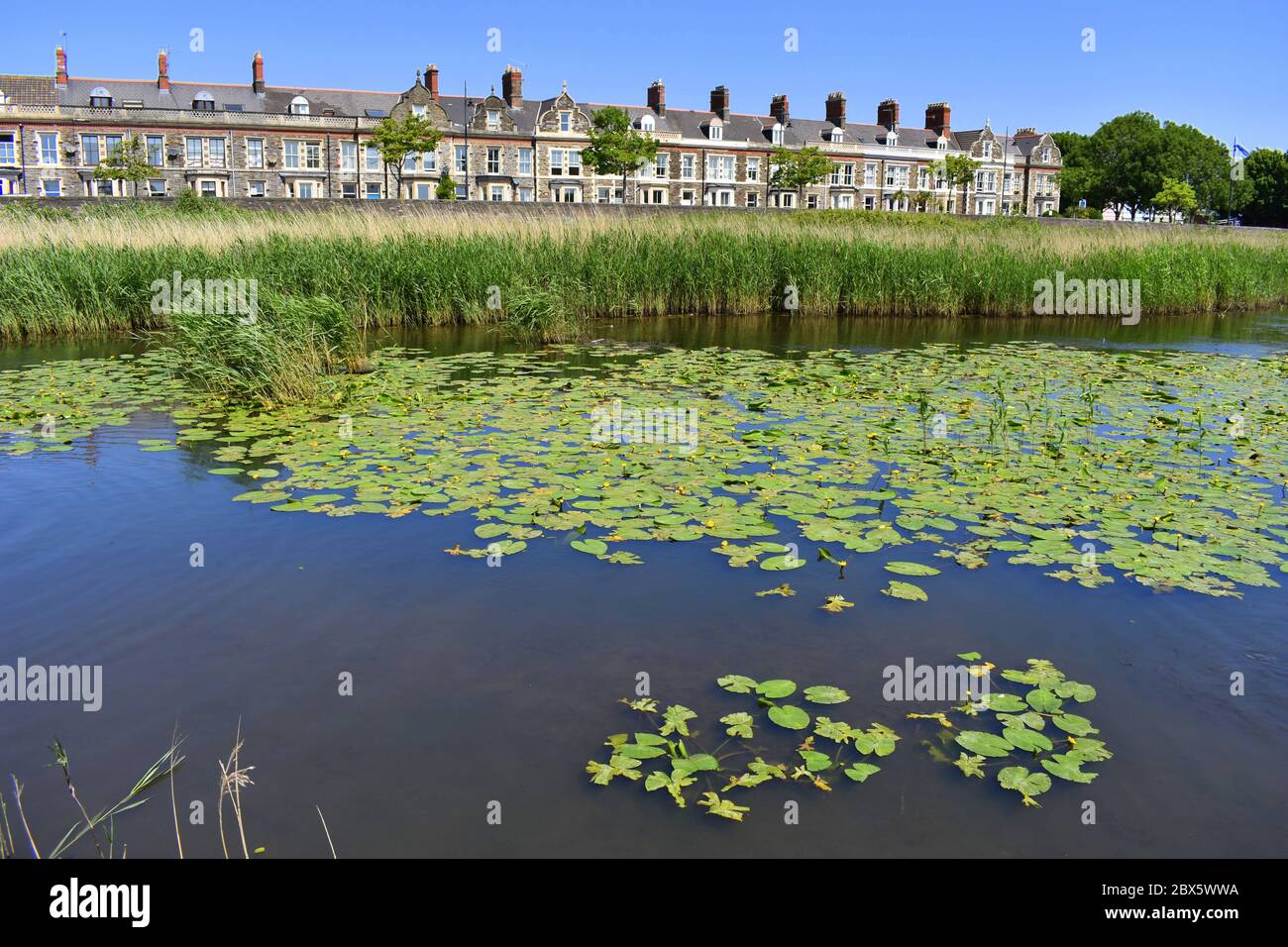 Terraced houses overlooking the Cardiff Bay wetlands, Windsor Esplanade