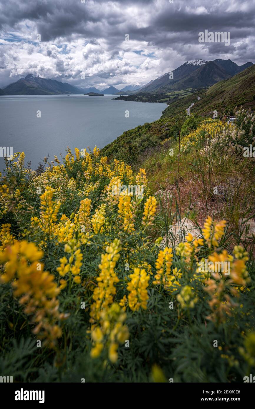 Lake Wakatipu, South Island, New Zealand Stock Photo - Alamy
