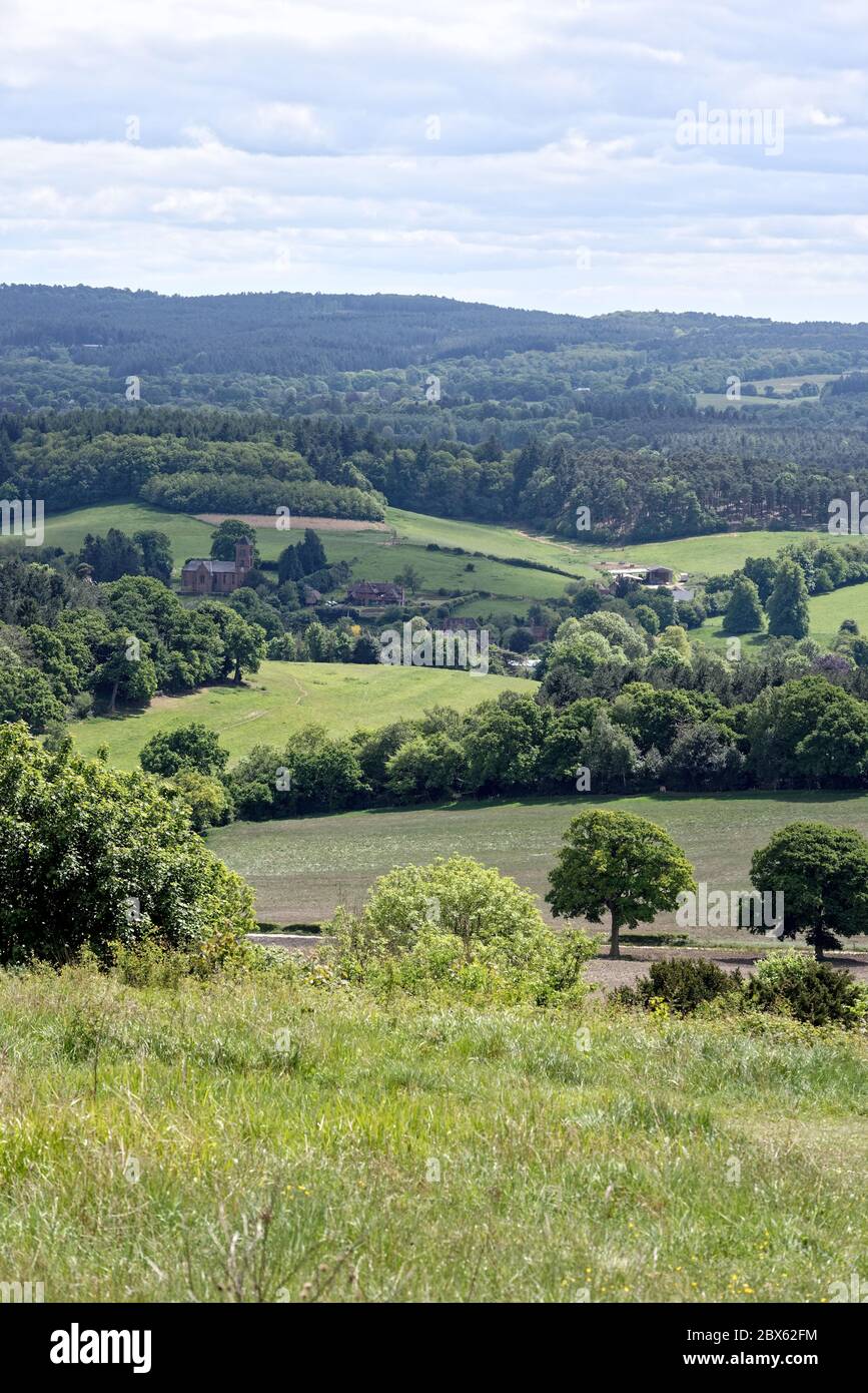 The view from Newlands Corner near Guildford looking towards Albury