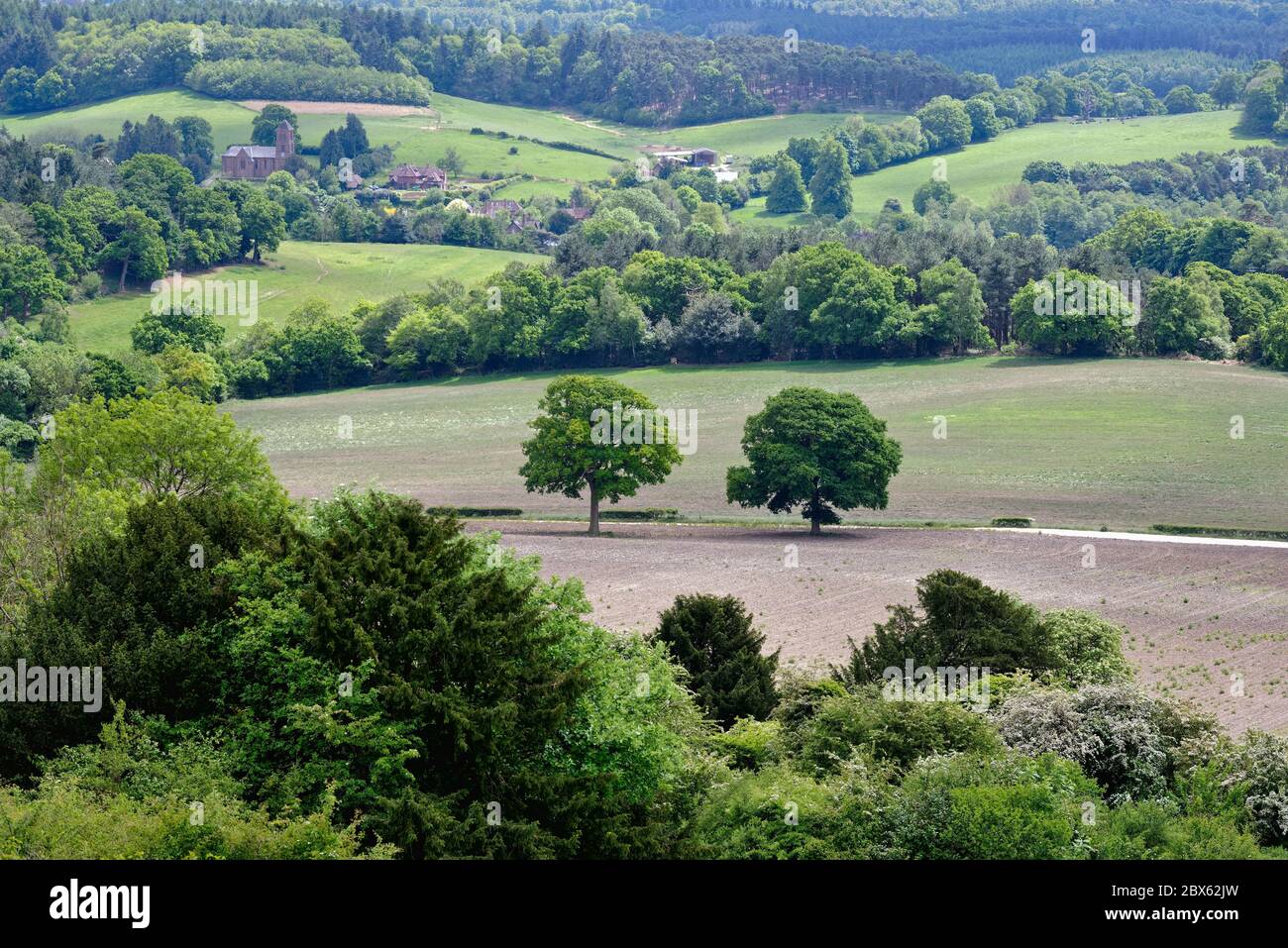 The view from Newlands Corner near Guildford looking towards Albury