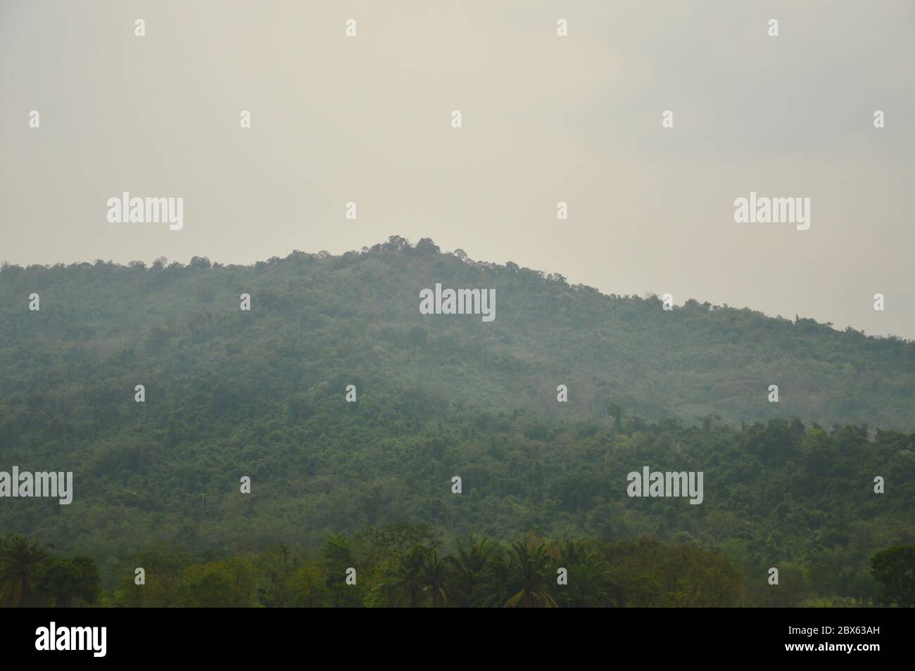 Mountain forest cover hi-res stock photography and images - Alamy