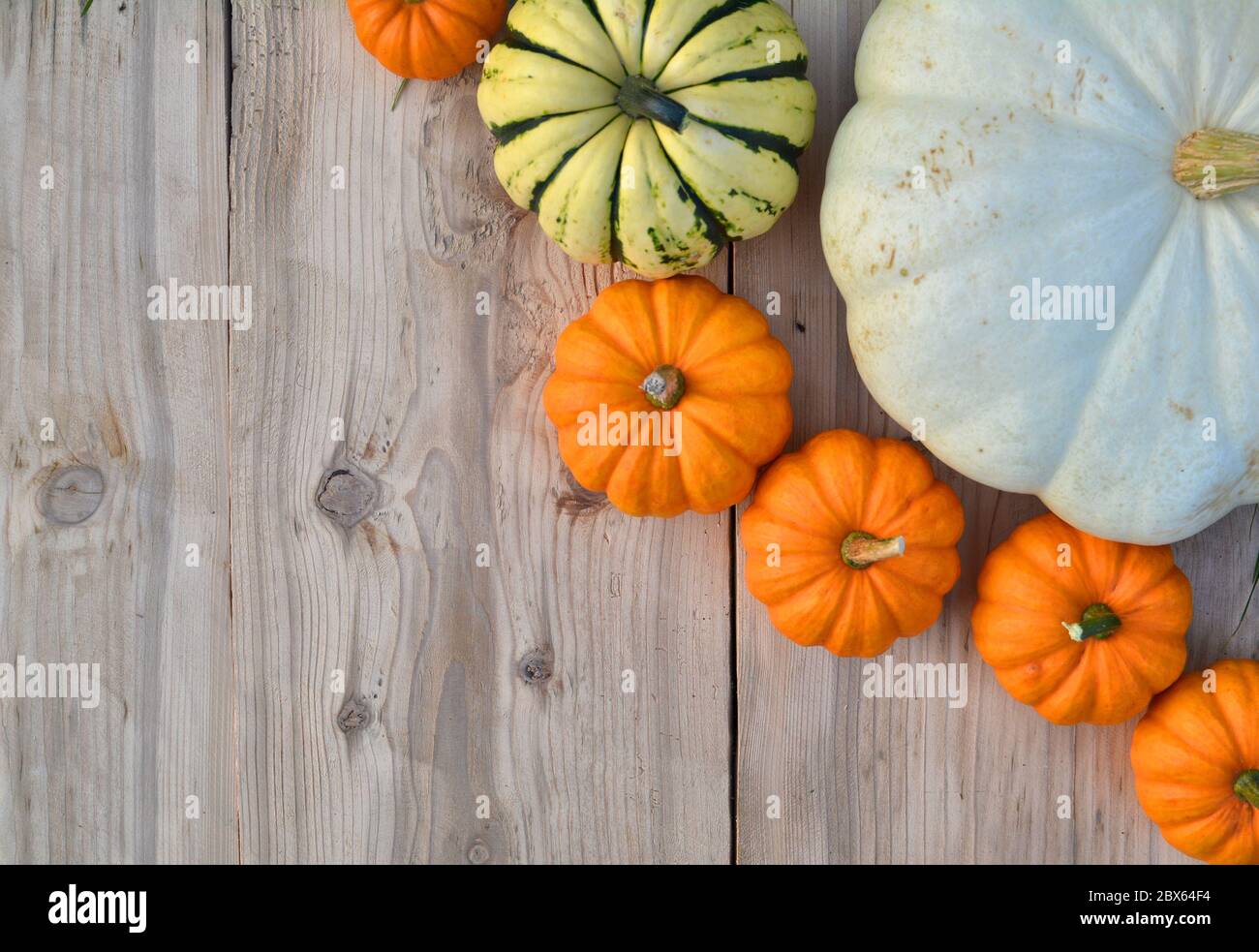 Various pumpkins and squashes on wooden background Stock Photo